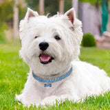 Bling Rhinestone Dog Collar Crystal Puppy - Pet Supplies Café