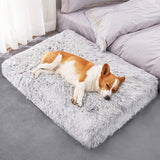 Dog Bed Padded Cushion-Large - Pet Supplies Café