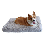 Dog Bed Padded Cushion-Large - Pet Supplies Café