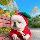 Dog Clothing: Cute, Comfortable and Photo Ready! - Pet Supplies Café