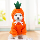 Dog Clothing: Cute, Comfortable and Photo Ready | Halloween Ready! - Pet Supplies Café