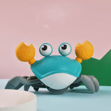 Close-up of the LED lights glowing on the Musical Crawling Crab Toy