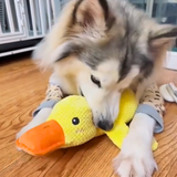 Quacking Sound Duck Toy for Dogs - Pet Supplies Café