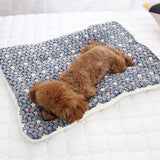 Cosy Calming Pet Blanket - Pet Supplies Café