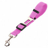 dogs and cats products - Pet Supplies Café